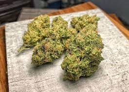 growing cannabis indoor